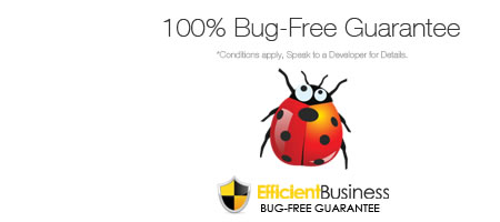 Efficient Business - 100% Bug-Free Guarantee