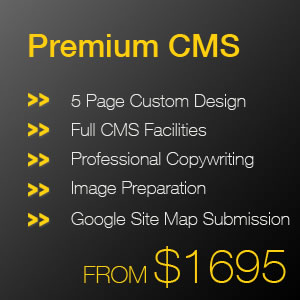 Custom Web Design - Premium CMS Package